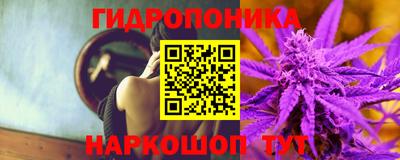 СК Краснознаменск