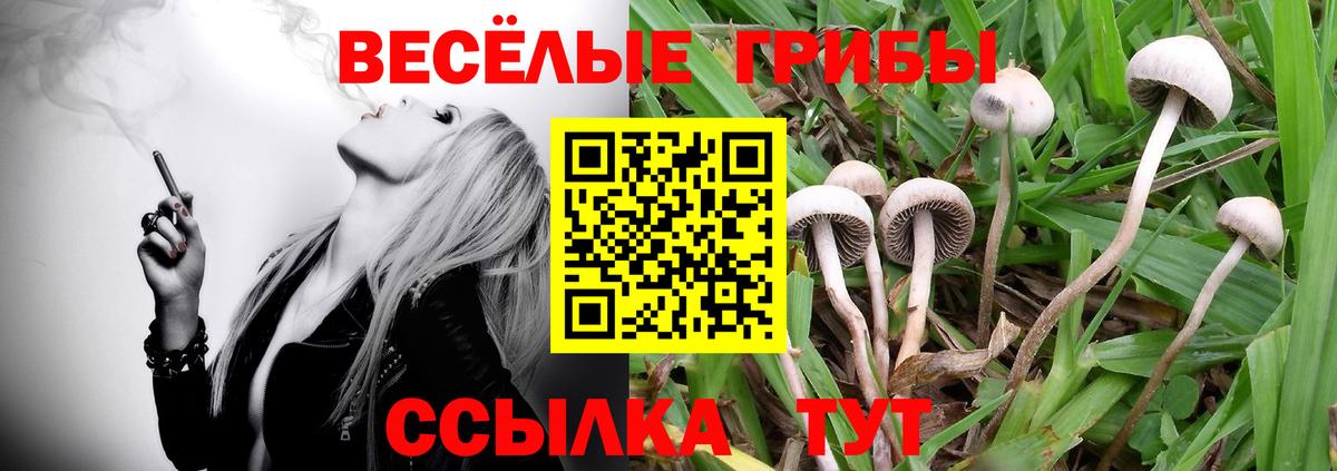 Галлюциногенные грибы мухоморы Заволжье