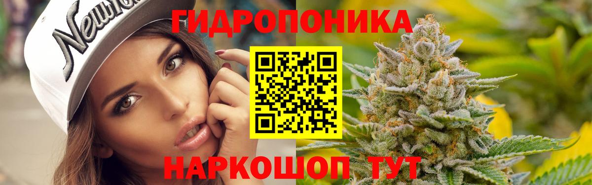 Бошки марихуана план Заволжье